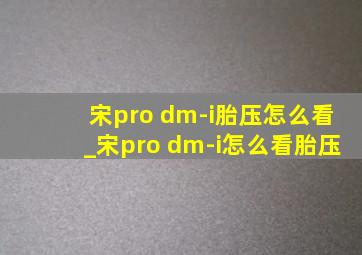 宋pro dm-i胎压怎么看_宋pro dm-i怎么看胎压